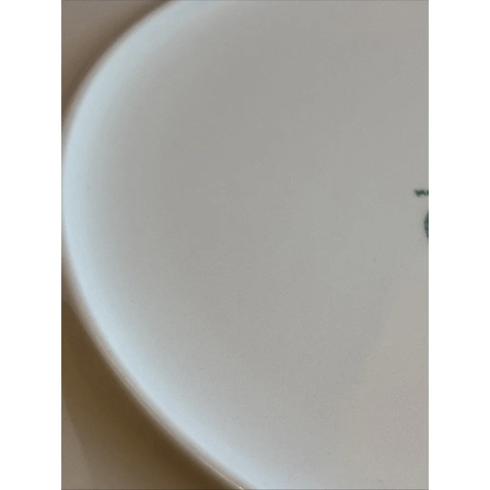 5‎ pc place setting Franciscan Merry Go Round  White Stone Ware  Pre-owned